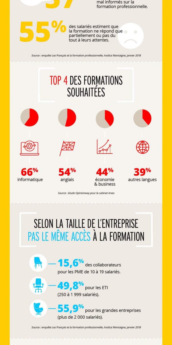 Infographie formation professionnelle